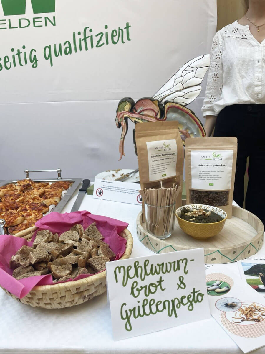 Galerie HBLW Saalfelden